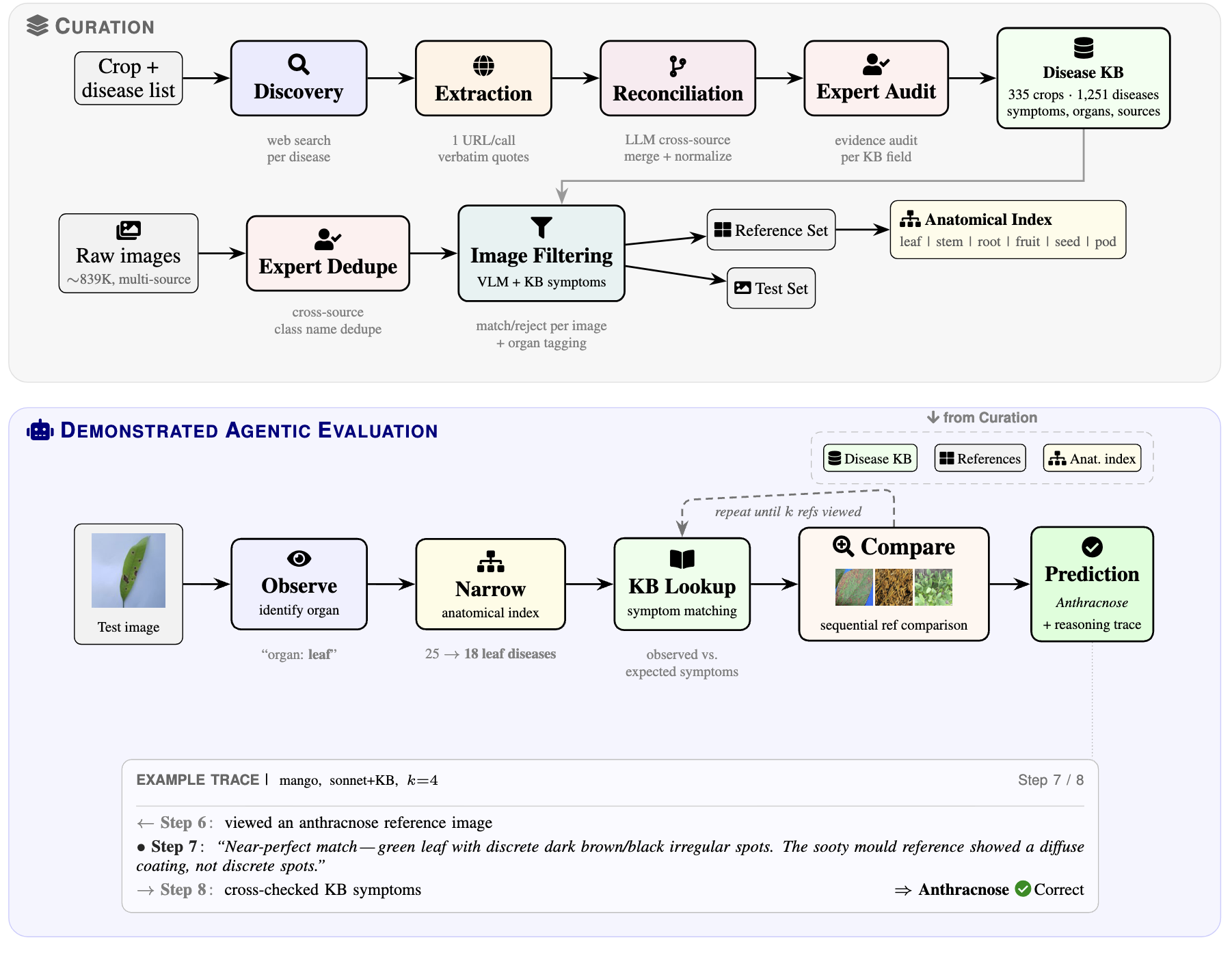 SAGE system overview: curation pipeline and agentic evaluation